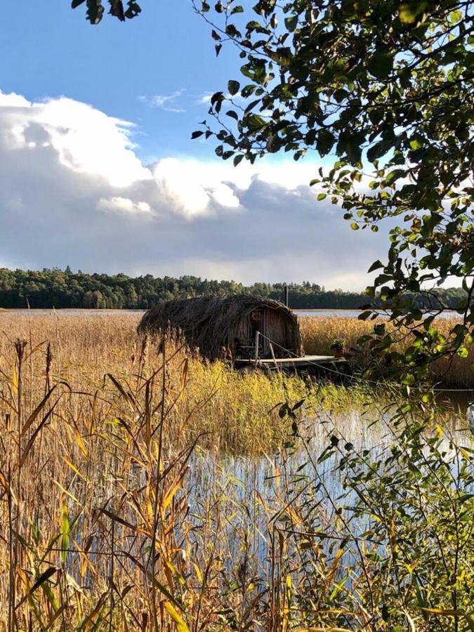 Bebru Maja - Beaver House Usma Exteriér fotografie