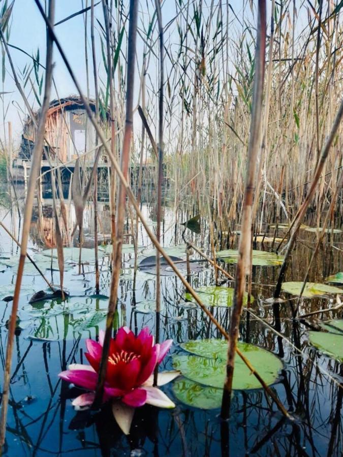 Bebru Maja - Beaver House Usma Exteriér fotografie