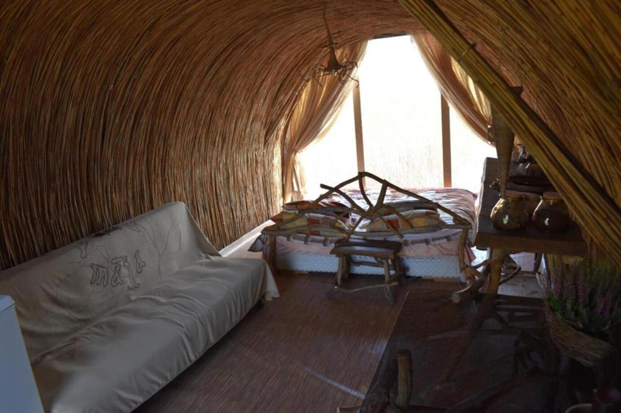 Bebru Maja - Beaver House Usma Exteriér fotografie