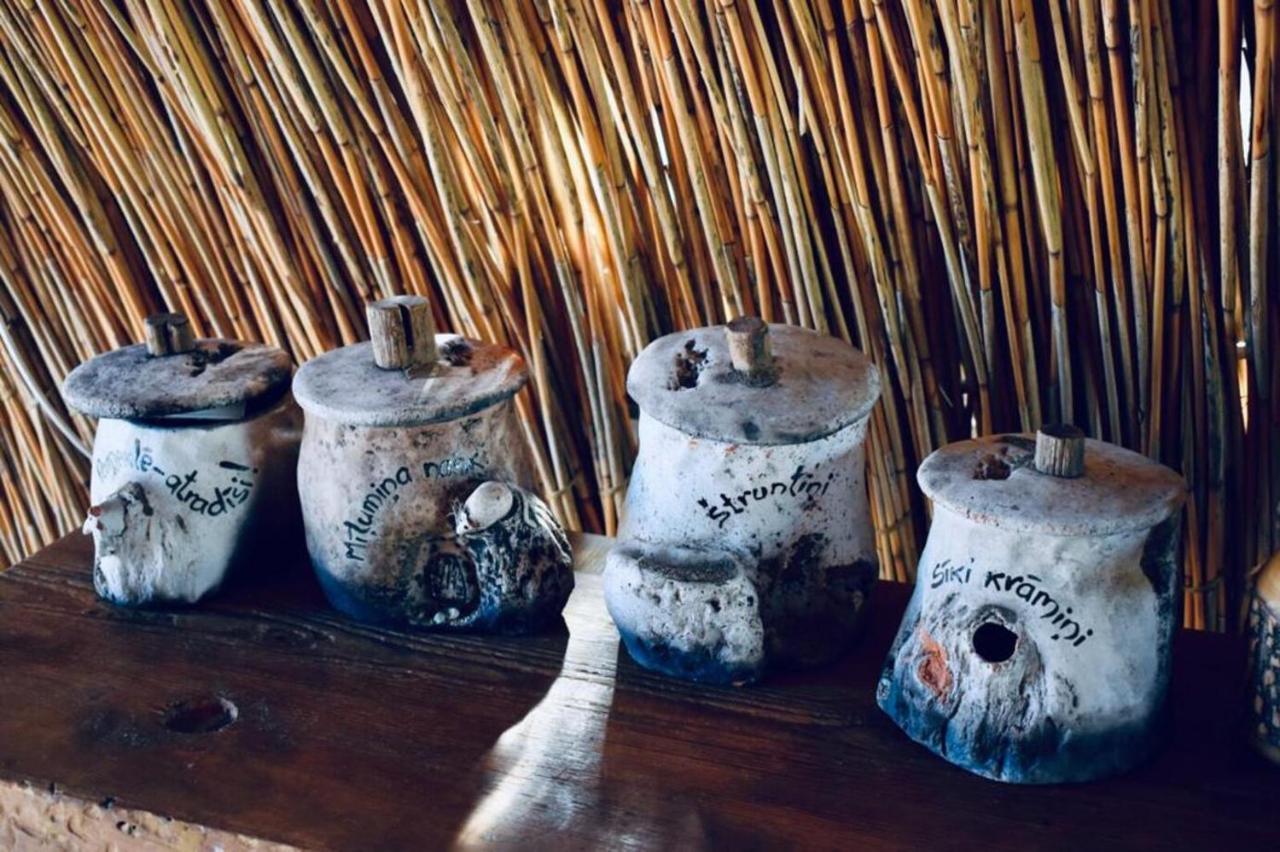 Bebru Maja - Beaver House Usma Exteriér fotografie