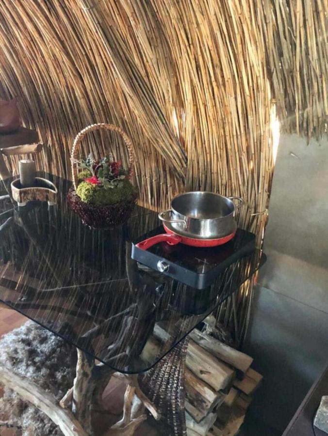 Bebru Maja - Beaver House Usma Exteriér fotografie